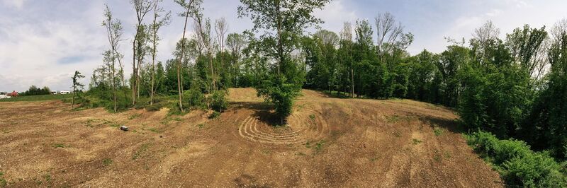 Young at Art - Eva N. ( 23 ) aus Linz-Land