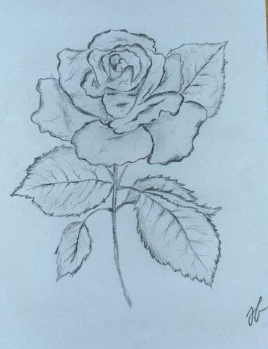 Young at Art - Sandra B. ( 23 ) aus Perg