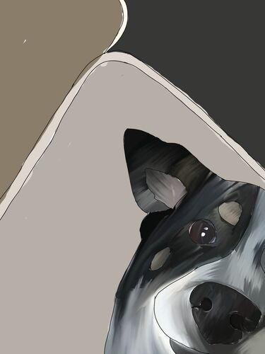 Young at Art - Ida L. ( 18 ) aus Linz-Land