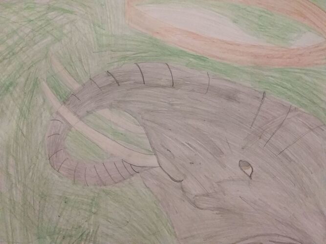 Young at Art - Lejla M. ( 14 ) aus Urfahr-Umgebung