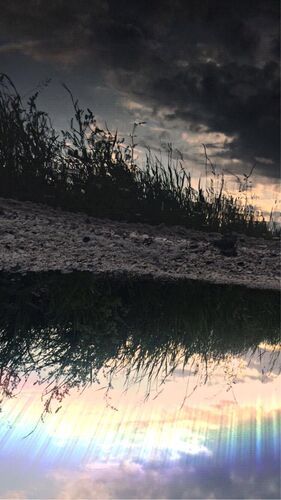 Young at Art - Michelle G. ( 19 ) aus Vöcklabruck