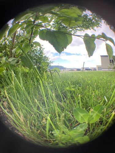 Young at Art - Vivien K. ( 5 ) aus Vöcklabruck