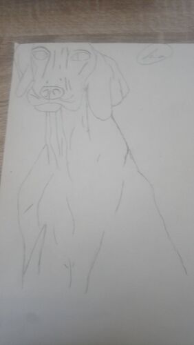 Young at Art - Leo S. ( 18 ) aus Vöcklabruck