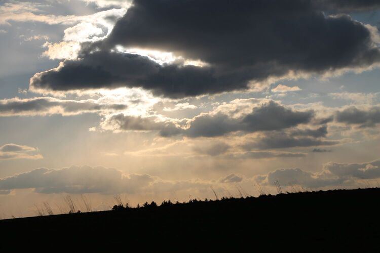 Young at Art - Isabel G. ( 21 ) aus Freistadt