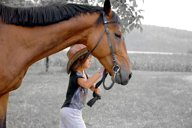 Young at Art - Isabel G. ( 21 ) aus Freistadt