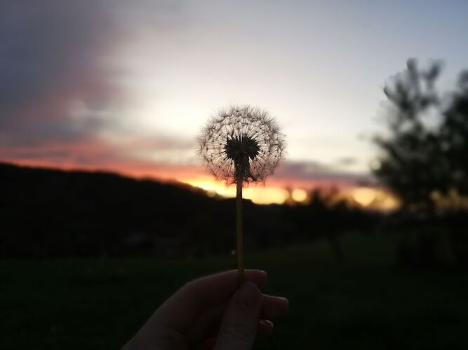 Young at Art - Verena F. ( 22 ) aus Braunau