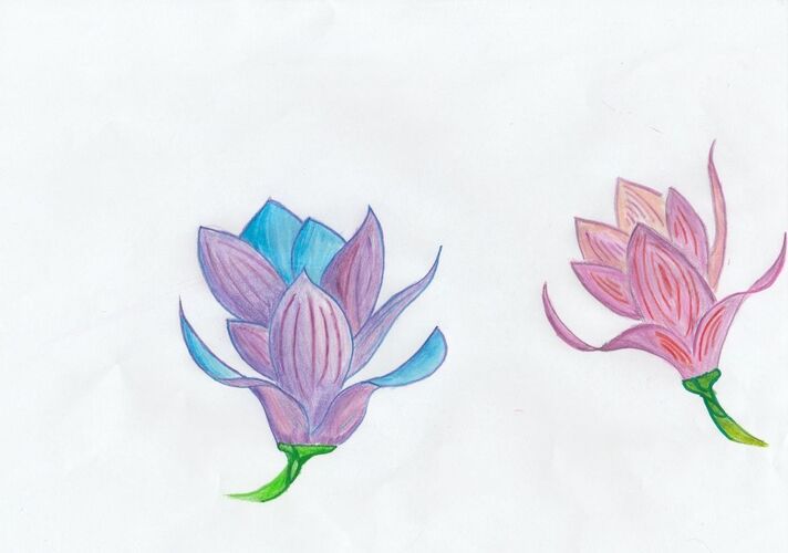 Young at Art - Florian H. ( 18 ) aus Steyr