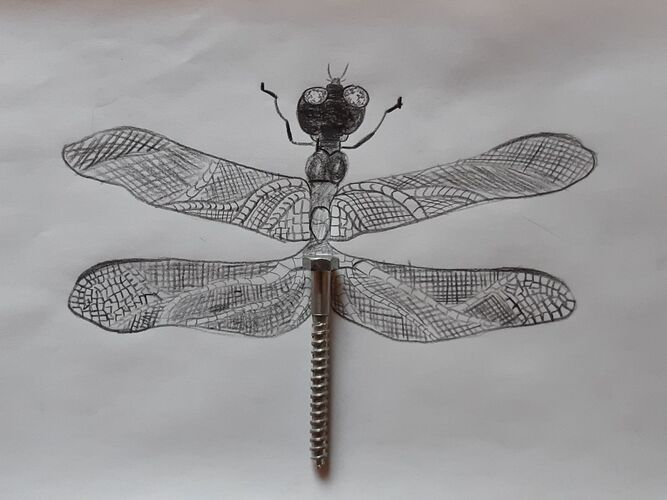 Young at Art - Florian H. ( 18 ) aus Steyr