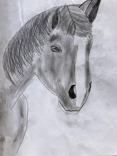 Young at Art - Annika Z. ( 14 ) aus Ried