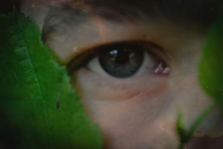 Young at Art - Anna D. ( 22 ) aus Steyr