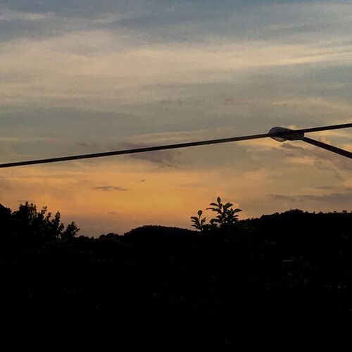 Young at Art - Carolina  G. ( 17 ) aus Eferding