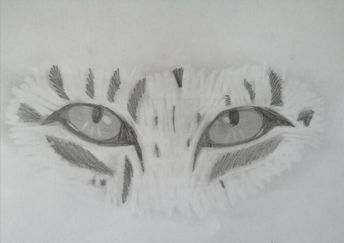 Young at Art - Alina N. ( 16 ) aus Wels