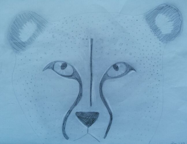 Young at Art - Alina N. ( 16 ) aus Wels