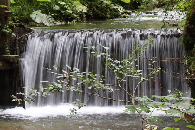 Young at Art - Simon R. ( 22 ) aus Kirchdorf