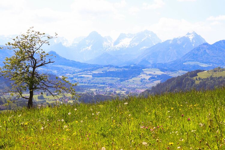 Young at Art - Simon R. ( 22 ) aus Kirchdorf