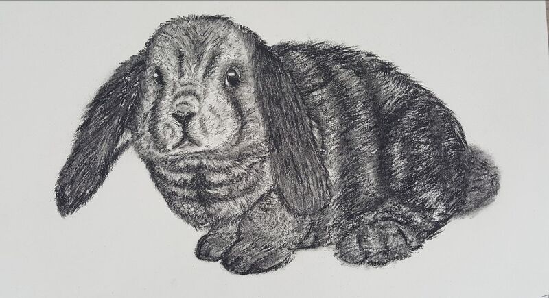 Young at Art - Lena L. ( 18 ) aus Kirchdorf