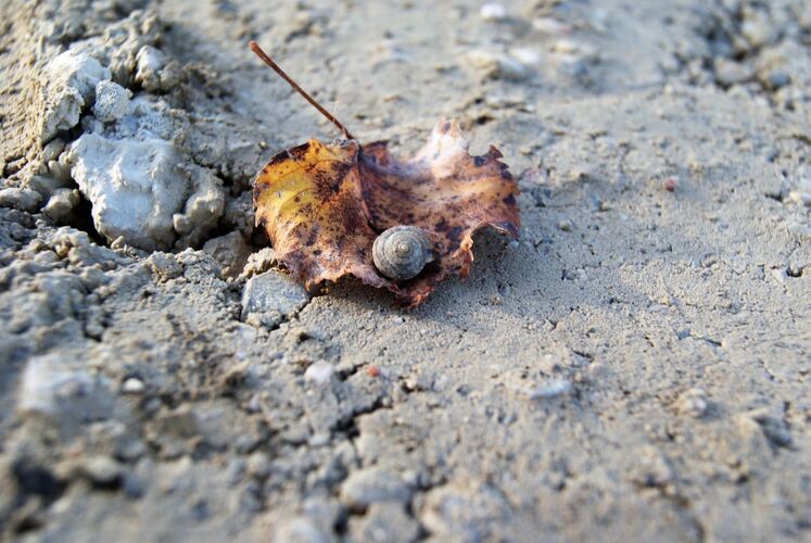 Young at Art - Vanessa Tabea  S. ( 18 ) aus Wels