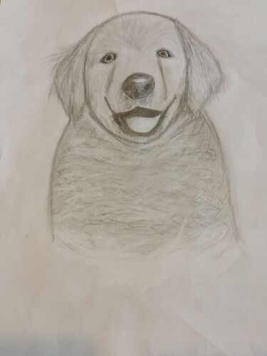 Young at Art - Sarah  S. ( 17 ) aus Steyr