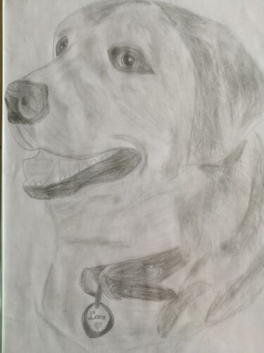 Young at Art - Sarah S. ( 17 ) aus Steyr