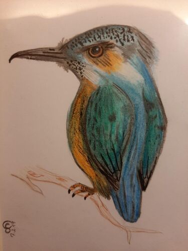 Young at Art - Carolina S. ( 20 ) aus Wels