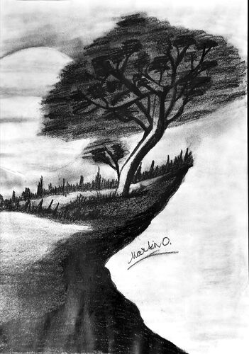 Young at Art - Martin O. ( 17 ) aus Linz-Land