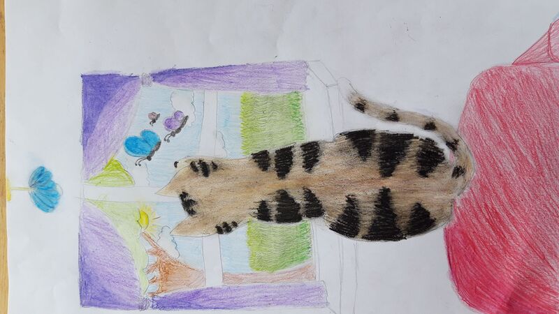 Young at Art - Karolina  Z. ( 14 ) aus Vöcklabruck