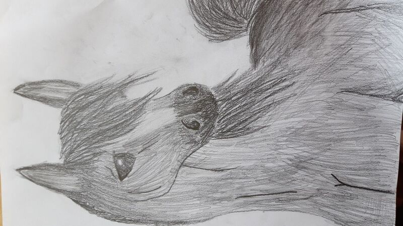 Young at Art - Karolina Z. ( 14 ) aus Vöcklabruck