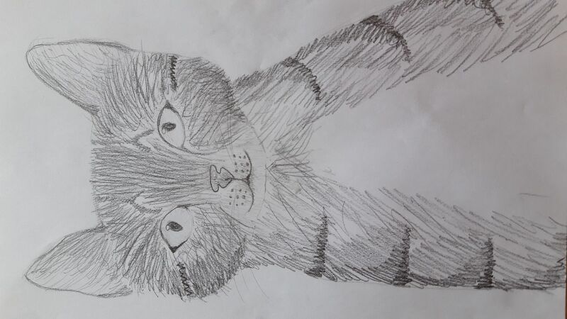 Young at Art - Karolina Z. ( 14 ) aus Vöcklabruck