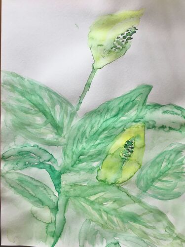 Young at Art - Lena S. ( 23 ) aus Ried