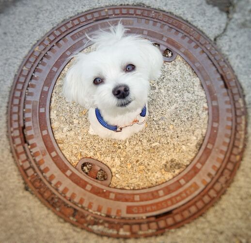 Young at Art - Natalie U. ( 22 ) aus Steyr