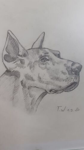 Young at Art - Tabea W. ( 17 ) aus Linz-Land