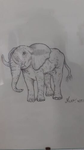 Young at Art - Tabea W. ( 17 ) aus Linz-Land