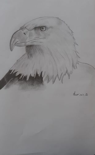 Young at Art - Tabea W. ( 17 ) aus Linz-Land