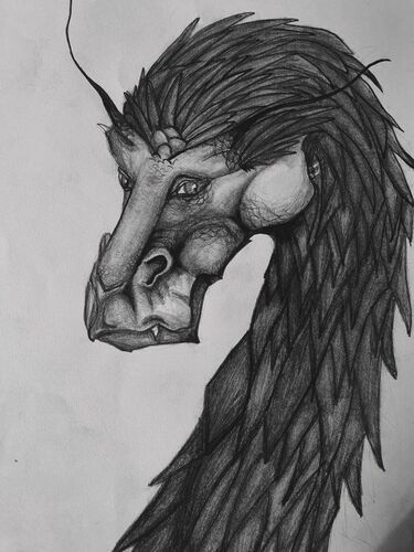 Young at Art - Sarah  B. ( 19 ) aus Grieskirchen