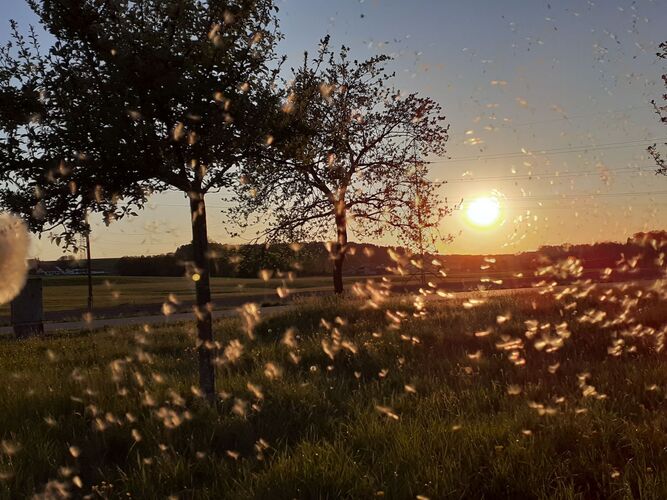 Young at Art - Lena  G. ( 16 ) aus Braunau