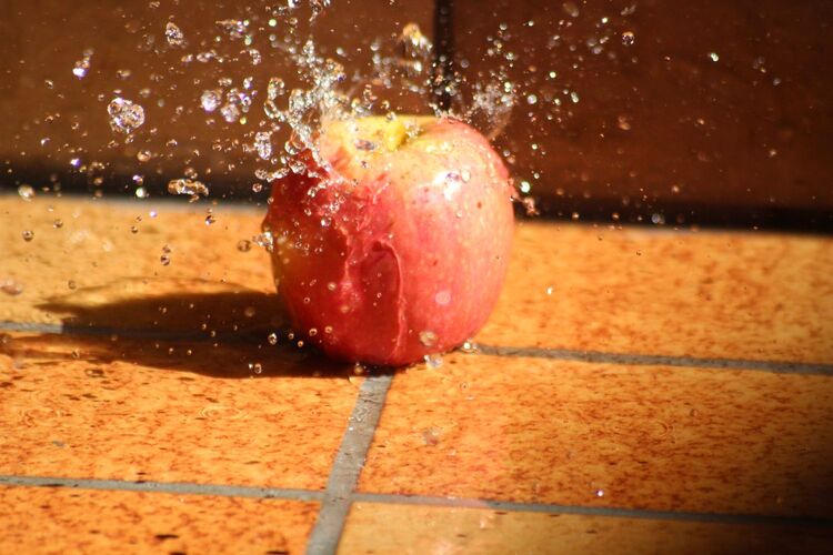 Young at Art - Paula R. ( 19 ) aus Linz