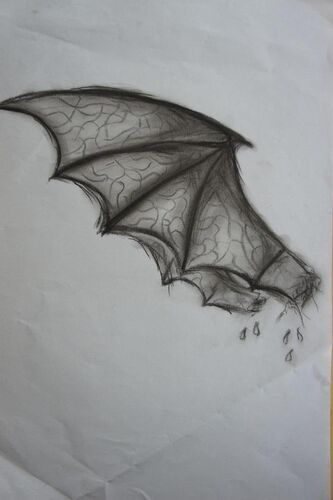 Young at Art - Emily W. ( 21 ) aus Linz