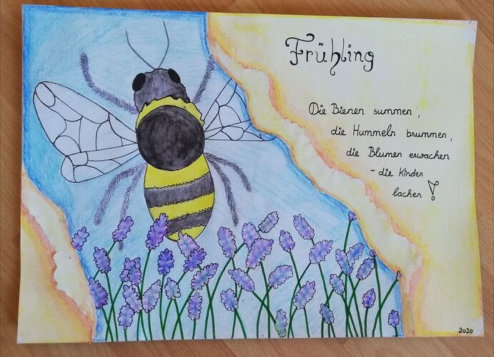 Young at Art - Laura H. ( 17 ) aus Kirchdorf