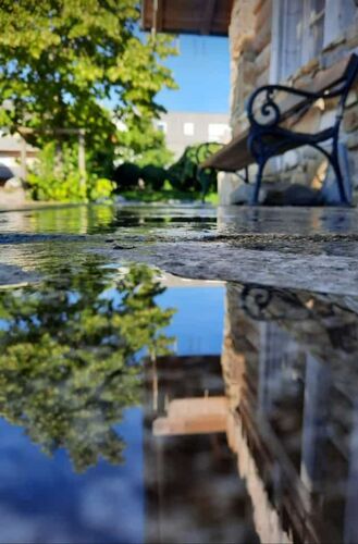 Young at Art - Laura H. ( 17 ) aus Kirchdorf