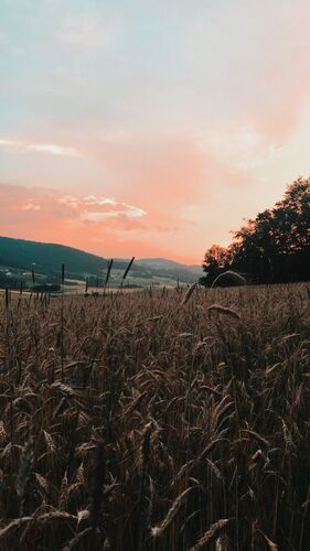 Young at Art - Christina Nigl N. ( 20 ) aus Rohrbach