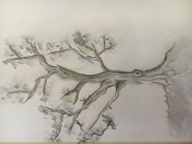 Young at Art - Lisa W. ( 18 ) aus Linz-Land