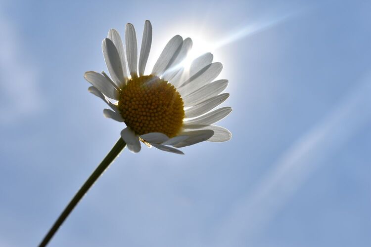 Young at Art - Amelie S. ( 20 ) aus Rohrbach