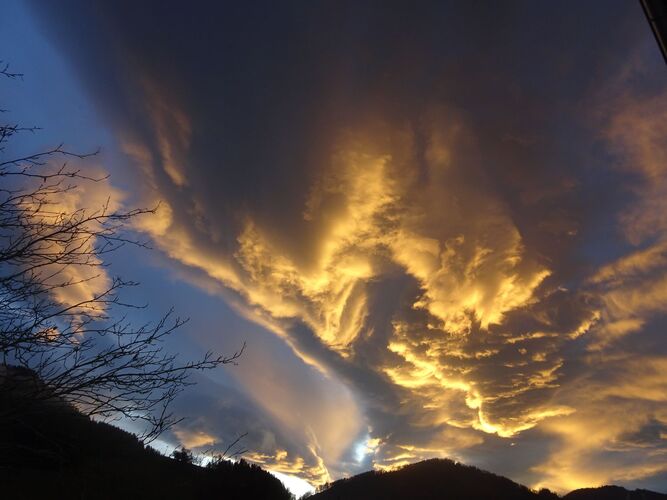 Young at Art - Marlene B. ( 16 ) aus Steyr