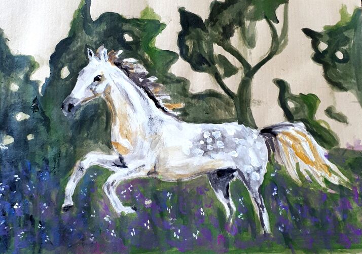 Young at Art - Lorena E. ( 22 ) aus Braunau