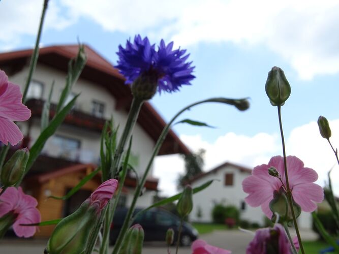 Young at Art - Lorena  E. ( 22 ) aus Braunau