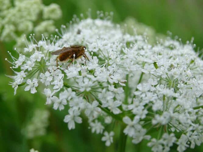 Young at Art - Lorena E. ( 22 ) aus Braunau