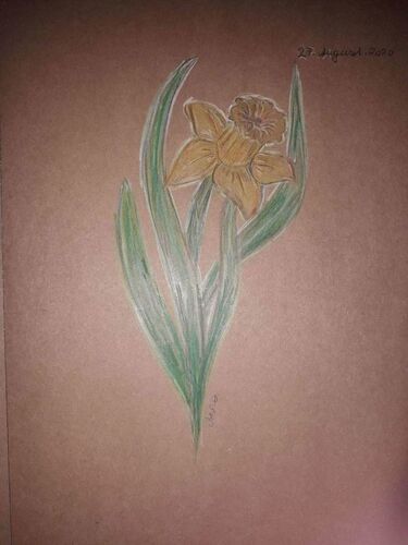 Young at Art - Anna K. ( 18 ) aus Vöcklabruck