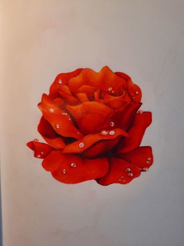 Young at Art - Johanna R. ( 22 ) aus Vöcklabruck