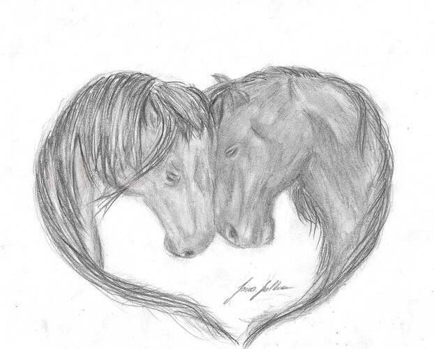 Young at Art - Jana H. ( 18 ) aus Freistadt