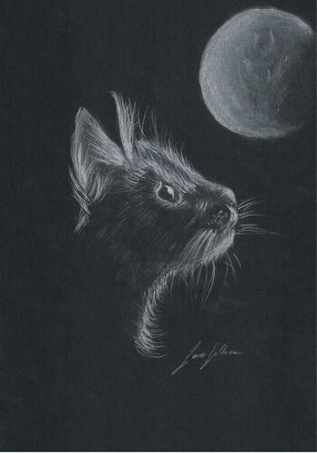 Young at Art - Jana H. ( 18 ) aus Freistadt